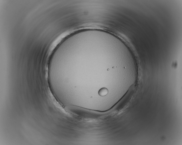 X0000113181188200909251434