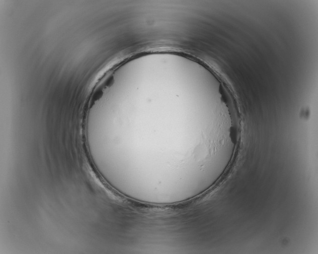 X0000113181189200909251434