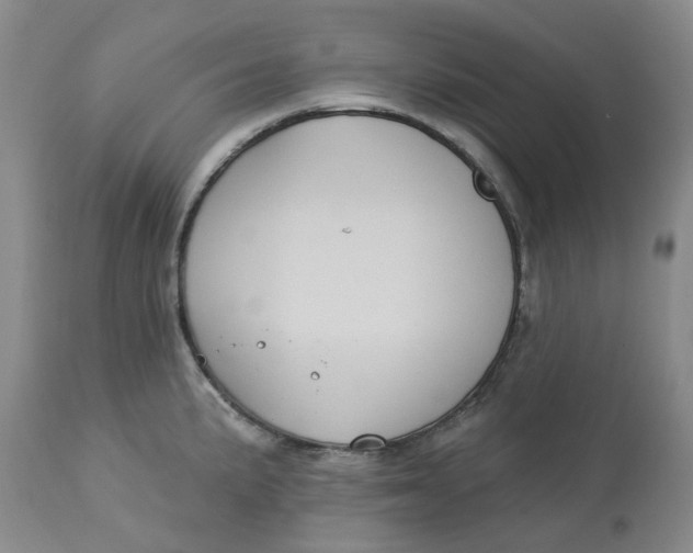 X0000113181191200909251434