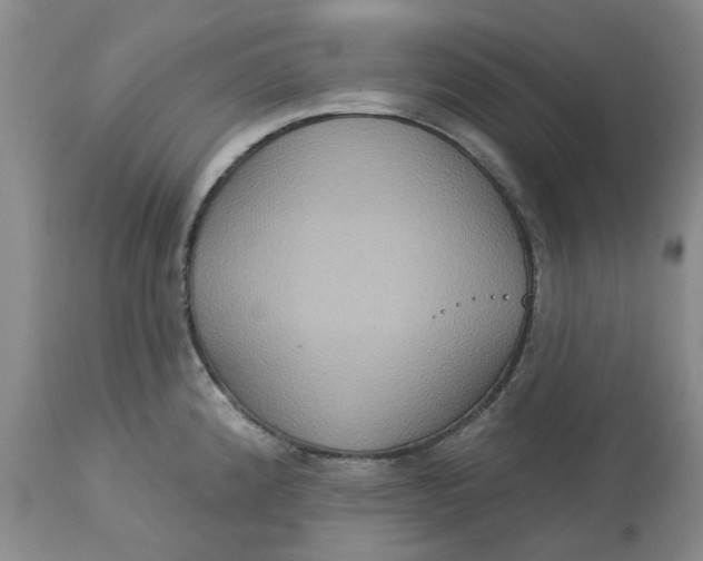 X0000113181192200909251434