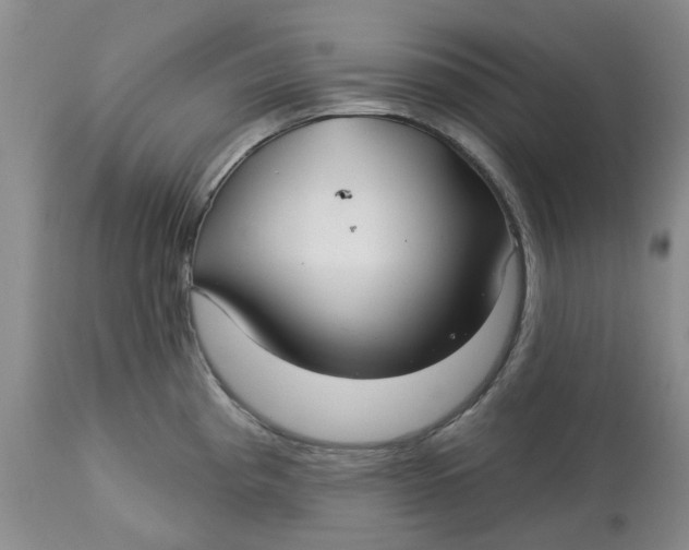 X0000113181193200909251434