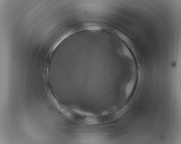 X0000113181194200909251434