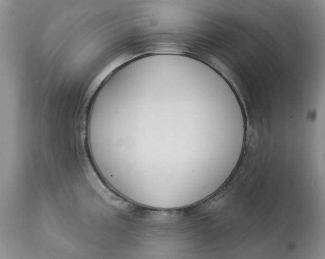 X0000113181195200909251434