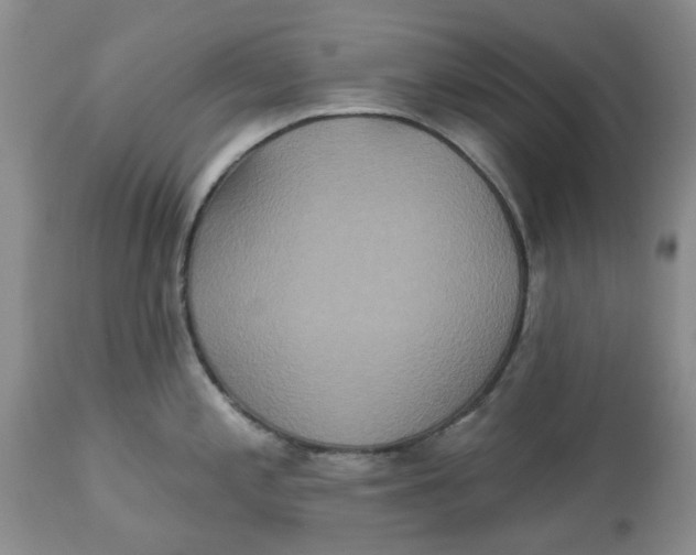 X0000113181197200909251434