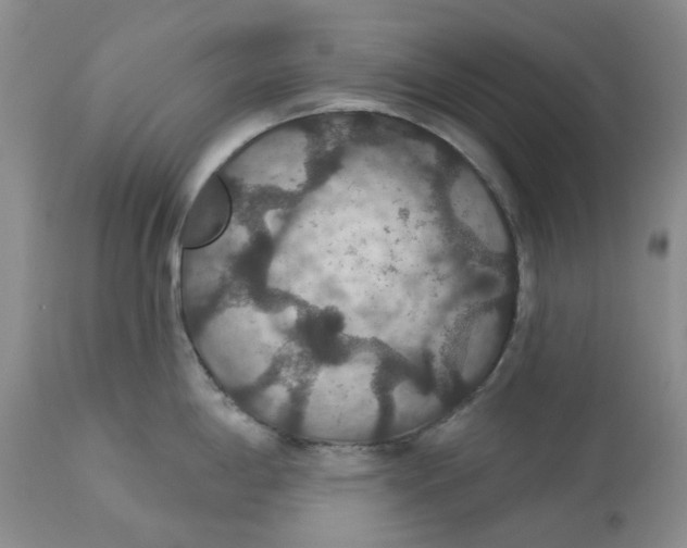 X0000113181198200909251434