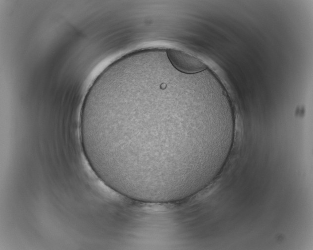 X0000113181199200909251434