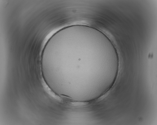 X0000113181200200909251434