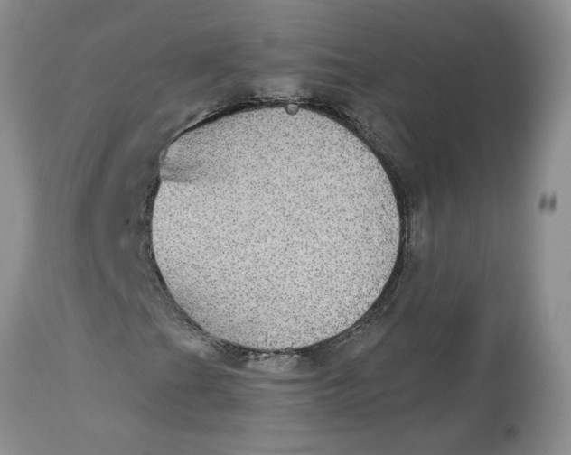 X0000113181201200909251433