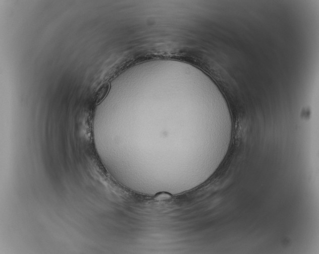 X0000113181202200909251433