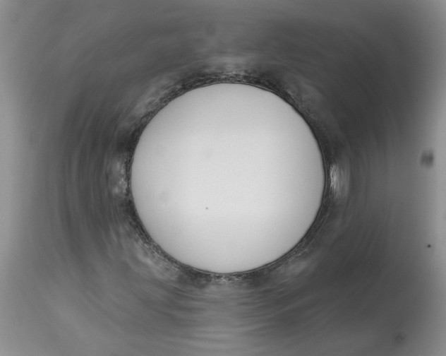 X0000113181203200909251433