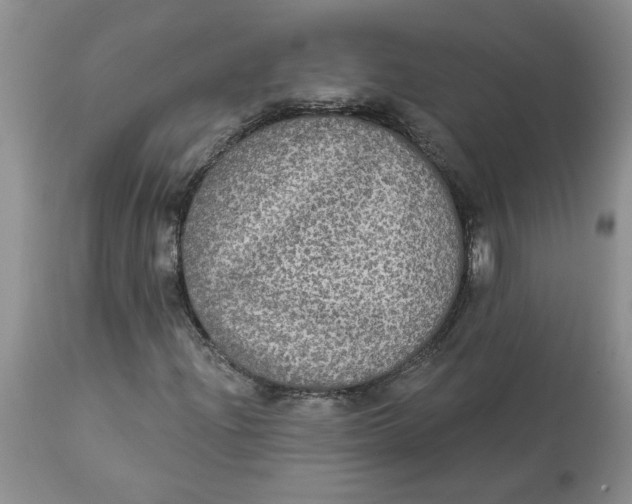 X0000113181204200909251433