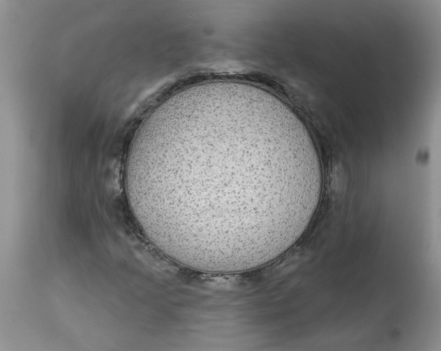 X0000113181205200909251433