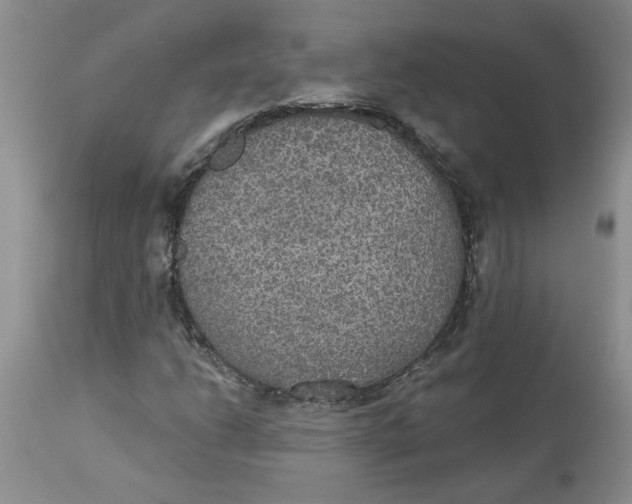 X0000113181206200909251433