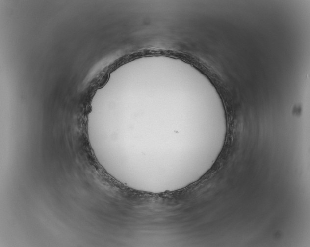 X0000113181207200909251433