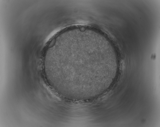 X0000113181208200909251433