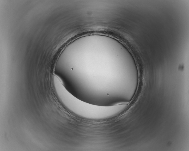 X0000113181209200909251433