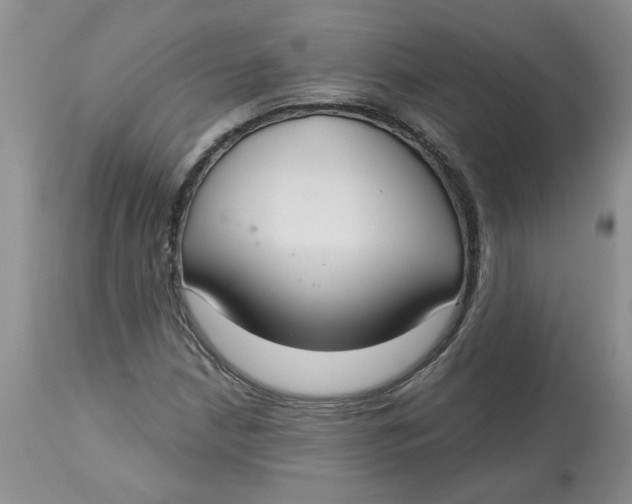 X0000113181210200909251433