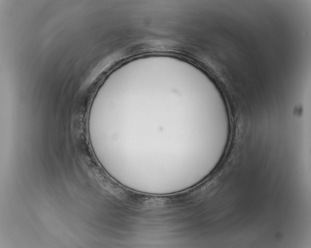 X0000113181211200909251433