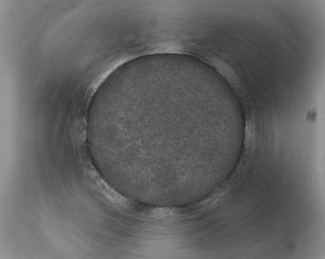 X0000113181212200909251433