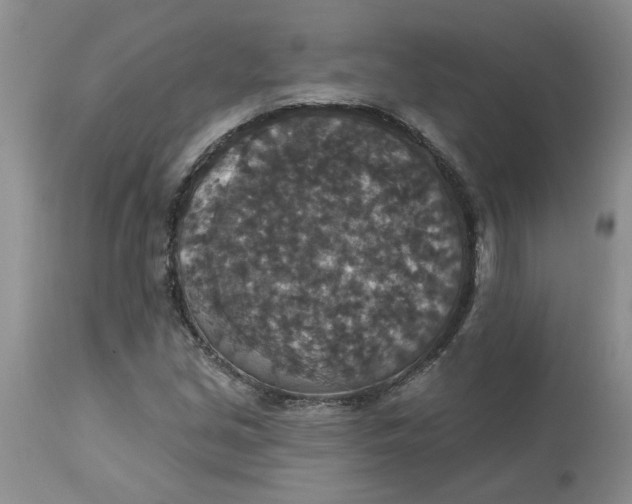 X0000113181213200909251433