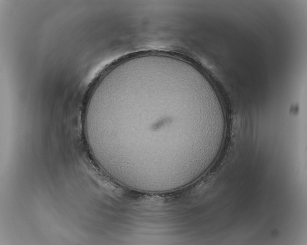 X0000113181214200909251433