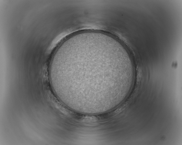 X0000113181215200909251433