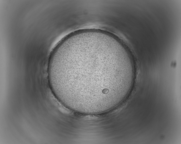 X0000113181216200909251433