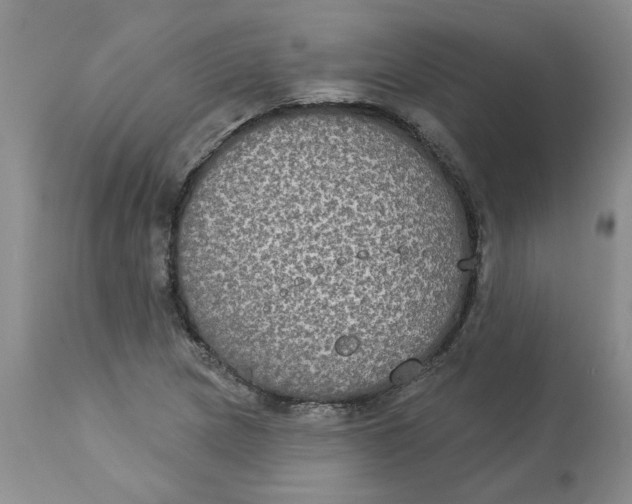 X0000113181217200909251433