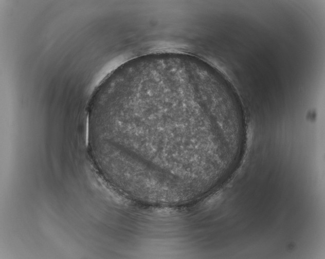 X0000113181219200909251433