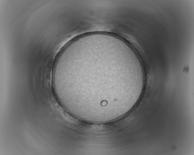 X0000113181220200909251433