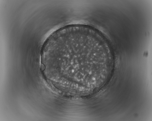 X0000113181221200909251433