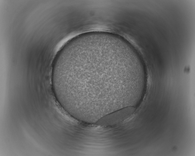 X0000113181222200909251433