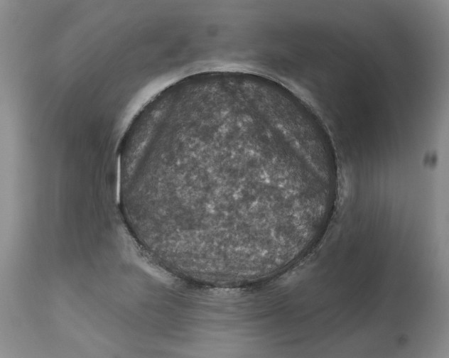 X0000113181223200909251433