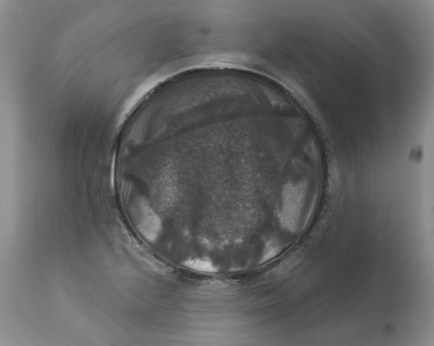 X0000113181224200909251433