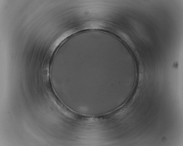 X0000113181226200909251433