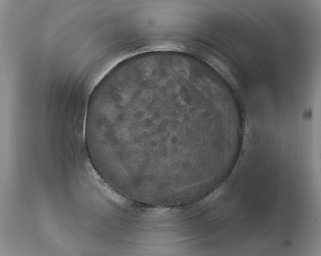 X0000113181228200909251433