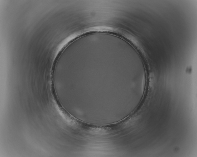 X0000113181229200909251433