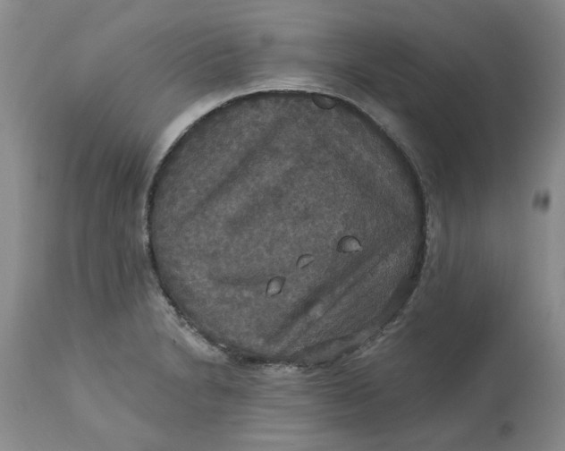 X0000113181230200909251433