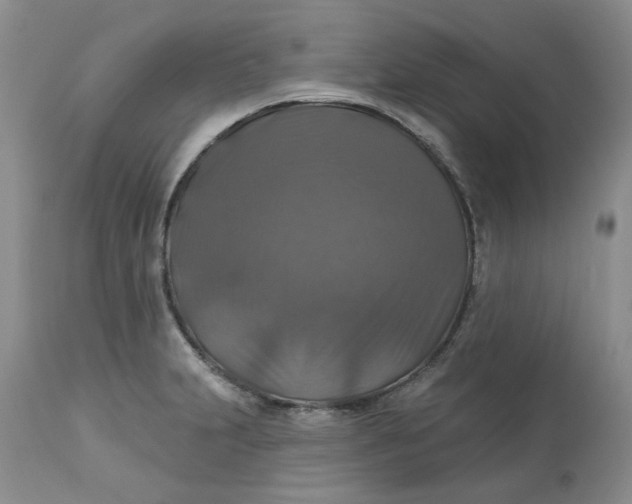 X0000113181231200909251434