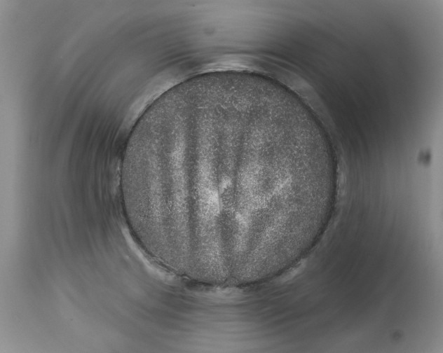 X0000113181233200909251434