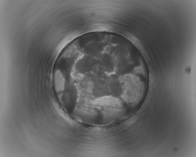 X0000113181234200909251434