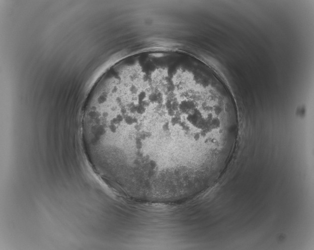 X0000113181235200909251434