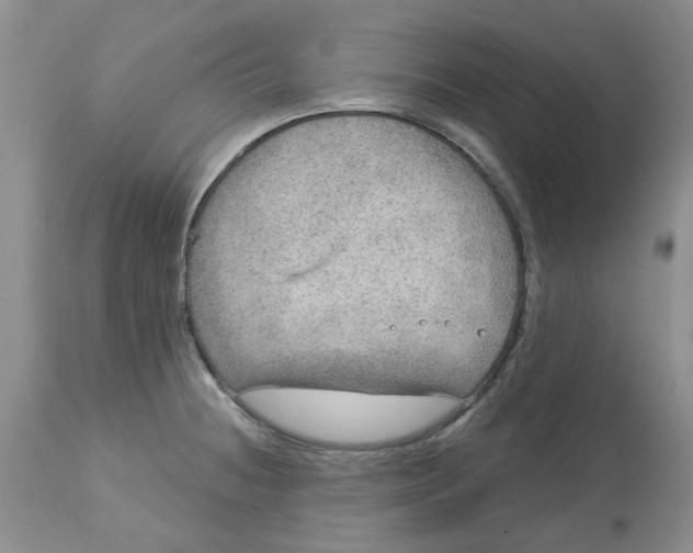 X0000113181236200909251434