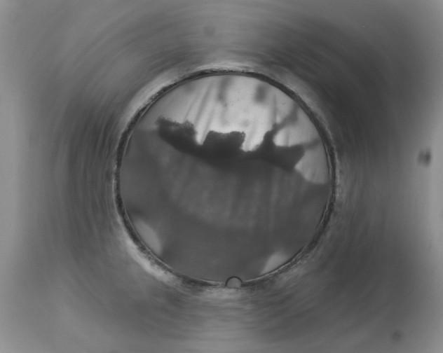 X0000113181237200909251434