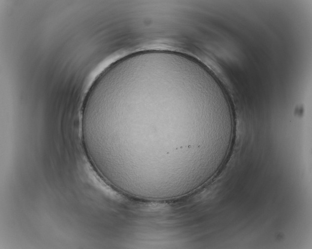 X0000113181238200909251434