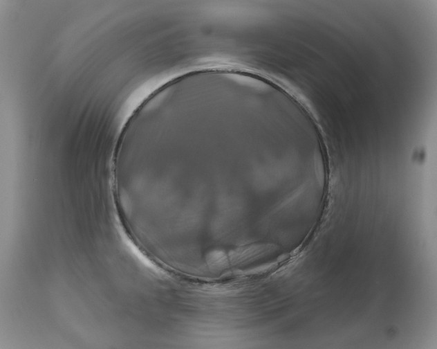 X0000113181239200909251434