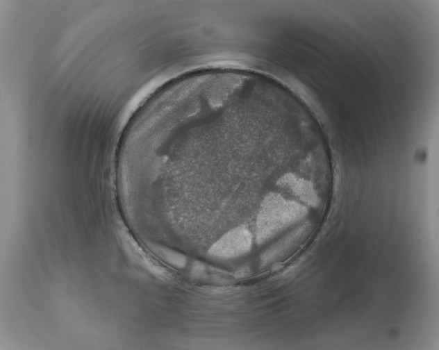 X0000113181240200909251434