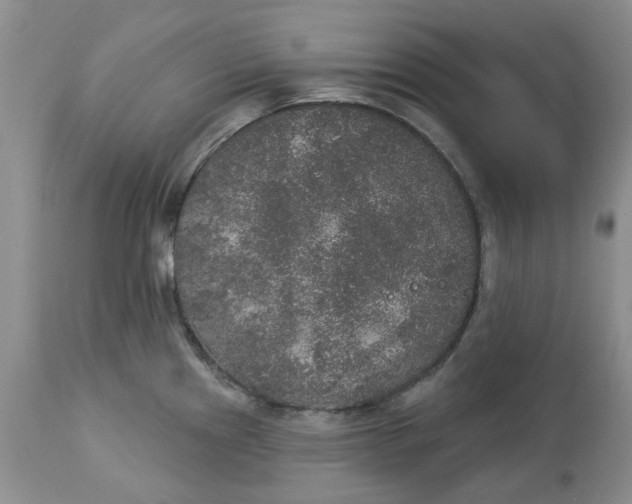 X0000113181241200909251434