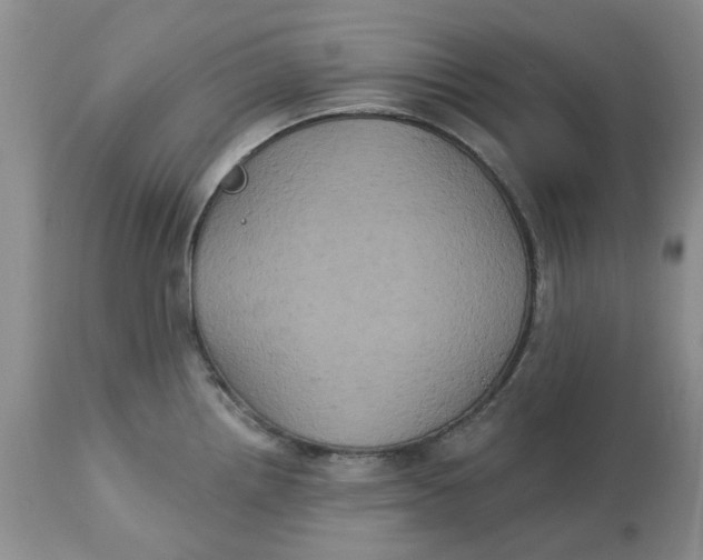 X0000113181242200909251434