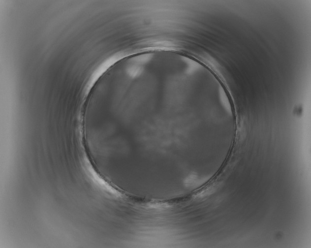 X0000113181243200909251434